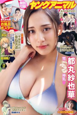 优秀女巫贾斗心在线观看